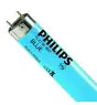 Philips MASTER TL-D 18W - Niebieski | 60cm