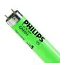 Philips MASTER TL-D 36W - Zielony | 120cm
