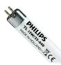 Philips T5 Short 13W - 640 Zimna Biel | 52cm