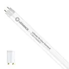 Ledvance Rura LED T8 Superior (EM/Mains) Standard Output 6.3W 995lm - 830 Ciepła Biel | 60cm - Zamienne 18W