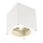 SLV Big Theo Sufit Spot Aluminium Valkoinen | Zewnętrzna - IP44 - Nadaje Się Do 1x GU10 Max. 75W - Ściemnianie