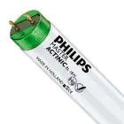 Philips MASTER TL-D Actinic BL 18W - Ultrafioletowy | 60cm